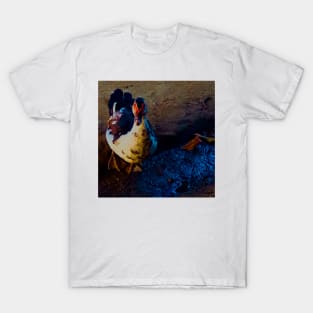 Duck Walking on Mud Ground T-Shirt